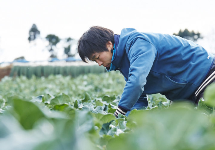 『休校の今、澄んだ空気の畑でいつもと違う体験を！』 高校生向け、農業体験の参加者募集中！