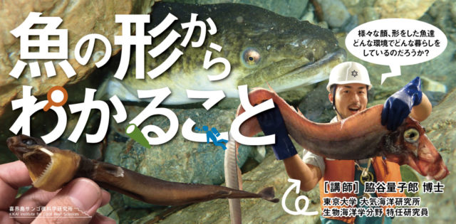 魚の形からわかること