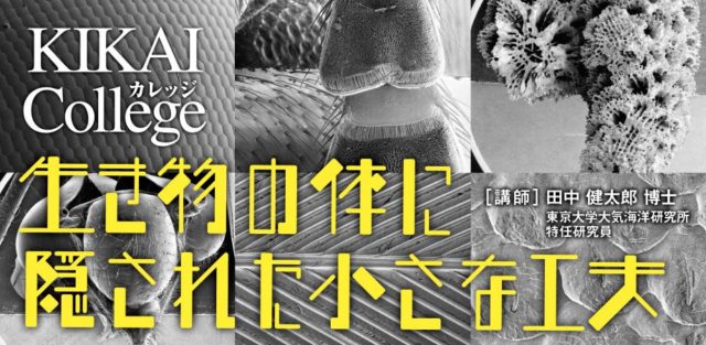 次世代の研究者の卵たちへ！【KIKAIカレッジ】を体験しよう！【生き物の体に隠された小さな工夫】