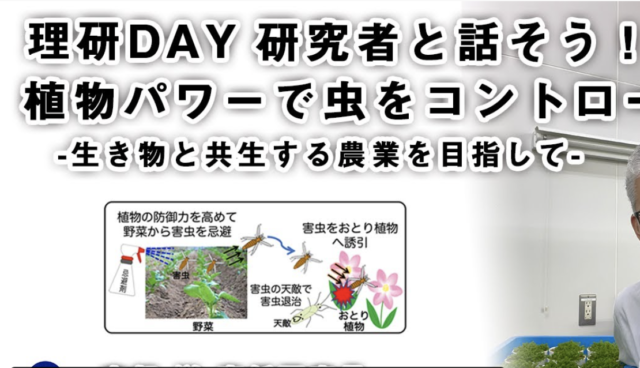 【7/31(土)開催】理研DAY：研究者と話そう！「植物パワーで虫をコントロール！〜生き物と共生する農業を目指して〜」
