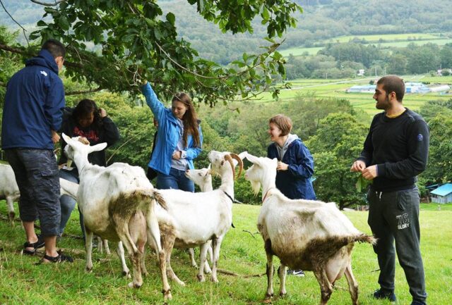 【8/29(日)開催】環境サイエンスカフェ「世界の取り組みから考える地球温暖化防止」