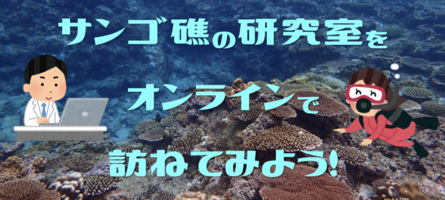 【11/27(土)開催】サンゴ礁の研究室をオンラインで訪ねてみよう！