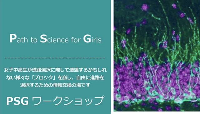 【2/19(土)開催】第2回PSGワークショップ【締切2/18(金)】