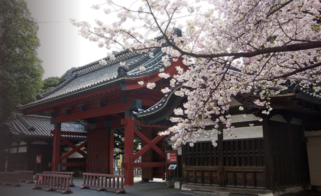 【3/22(火)〜開催】「東大の研究室をのぞいてみよう！～多様な学生を東大に～」【3/11(金)締切】