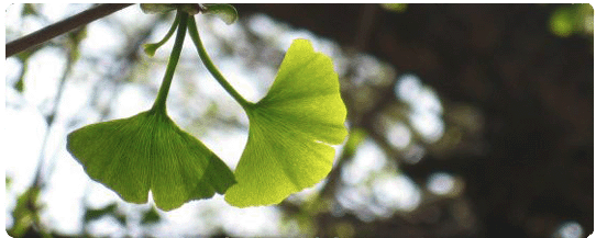 【4/15(金)開催】東京大学　「量子ってなんだろう？――視て触る量子力学――」