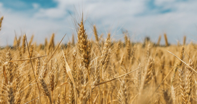 7/2 ウクライナを知ろう！ The 4th Youth Conference hosted by Yokohama YMCA