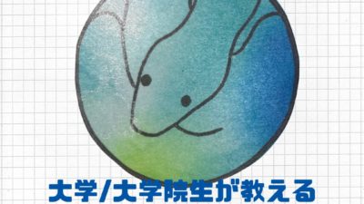 【9/1(木)~開催】プログラミング言語オンライン教室【締切8/25(木)】