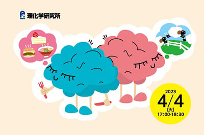 【4/4(火)開催】第4回中高生のためのオンライン特別授業「日常生活を読み解く脳研究」【締切3/31(金)】　