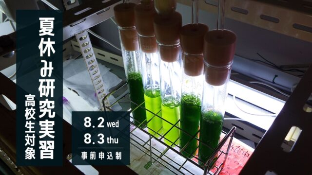 【来場型】夏休み研究実習｜高校生対象