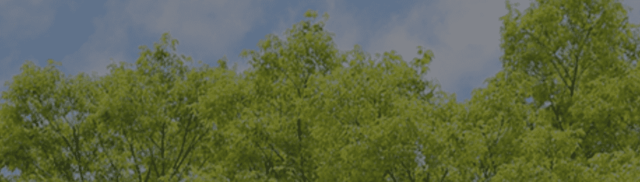 2023年度サマージュニアロースクール