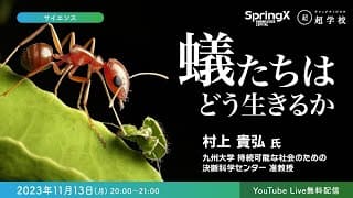 【11/13(月)開催】蟻たちはどう生きるか