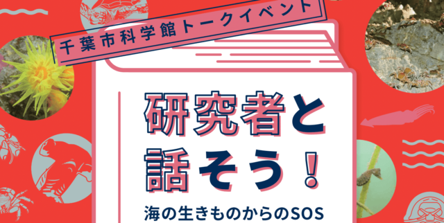 【2/12(月)開催】千葉市科学館トークイベント「研究者と話そう！〜海の生きものからのSOS～」【締切2/10(土)】