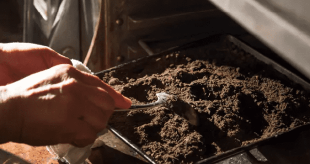 土に学ぶ、五感で考える