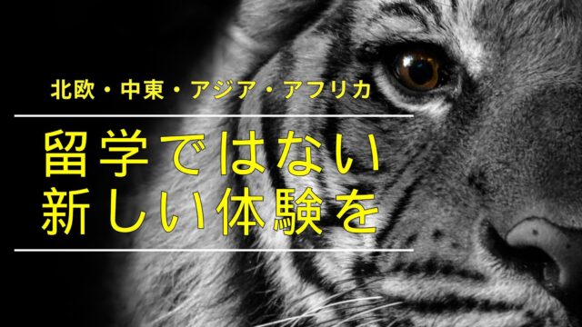 【4/21(日)開催】2024年夏休みに行ける！海外短期プログラム説明会