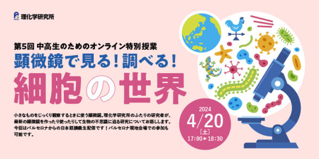 【4/20(土)開催】顕微鏡で見る！調べる！細胞の世界【4/15(月)締切】