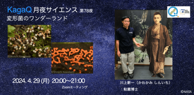 【4/29(月)開催】変形菌のワンダーランド