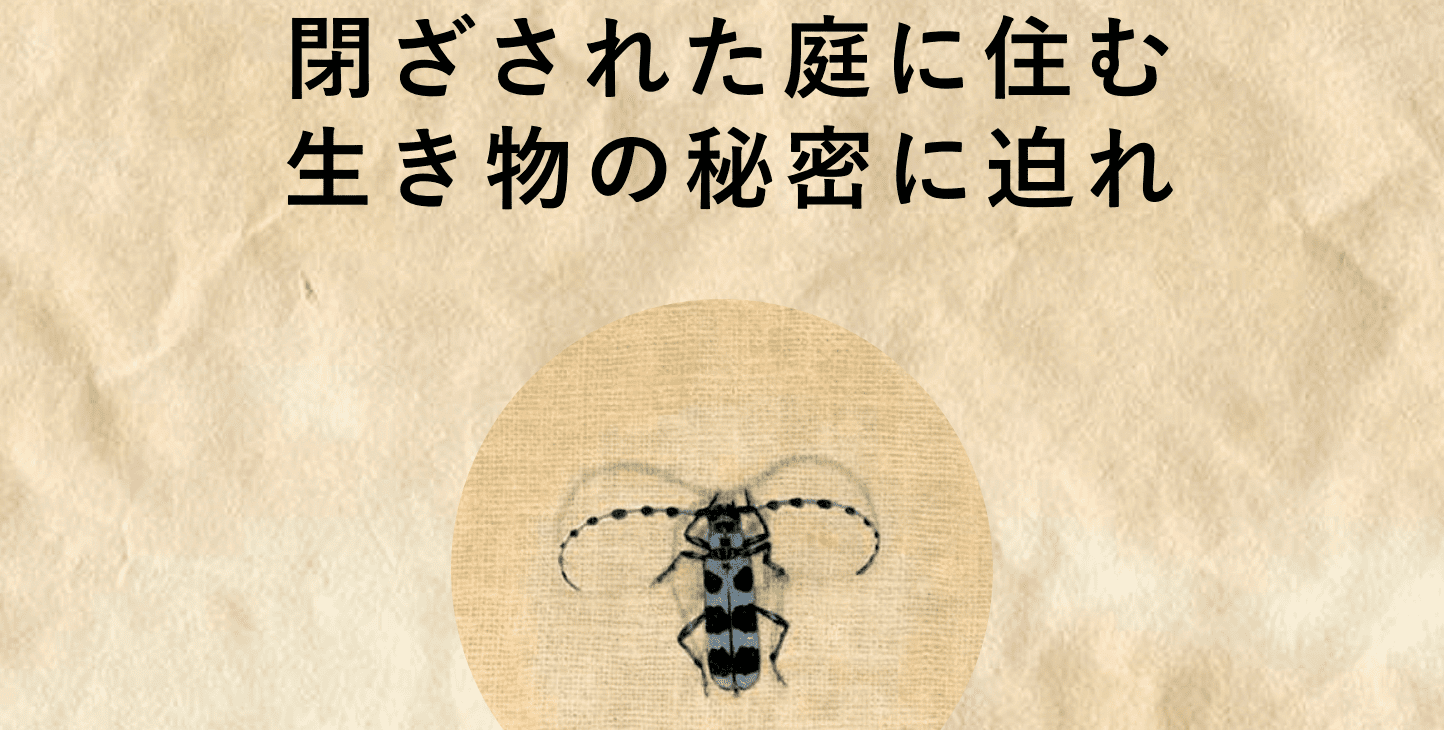 虫調査プログラム～閉ざされた庭に住む生き物の秘密に迫れ～