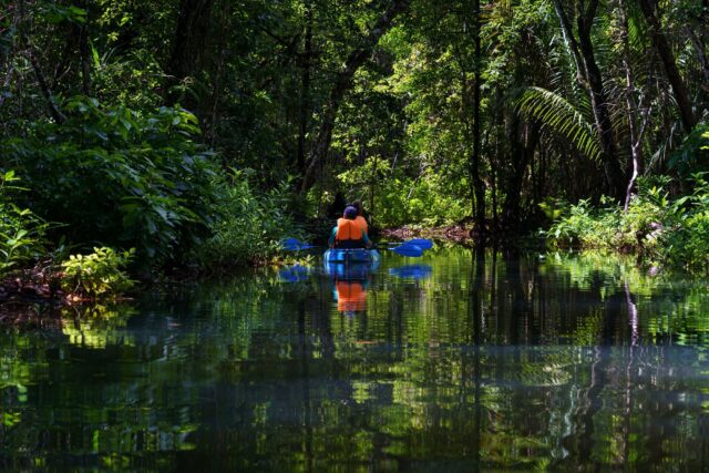 【11/13(水)開催】『循環型社会』を観光資源に？楽園パラオが向き合う開発と環境問題