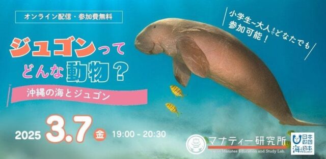 【3/7(金)開催】ジュゴンってどんな動物？ – 沖縄の海とジュゴン –