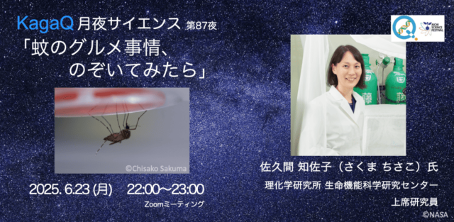 【6/23(月)開催】 KagaQ.「月夜サイエンス」第87夜 「蚊のグルメ事情、のぞいてみたら」