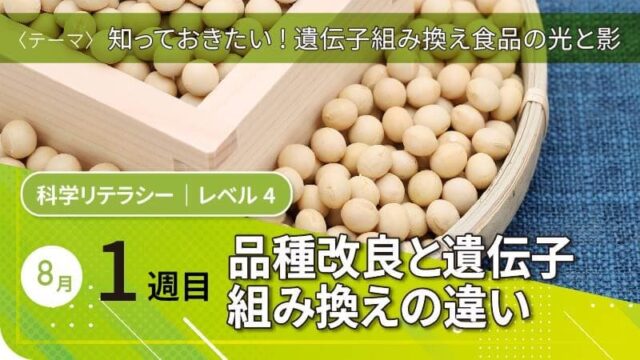 【8/8(金)開催】知っておきたい ! 遺伝子組み換え食品の光と影