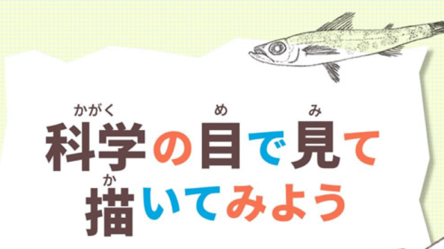科学の目で見て描いてみよう ～深海魚のかんさつ＆スケッチ～