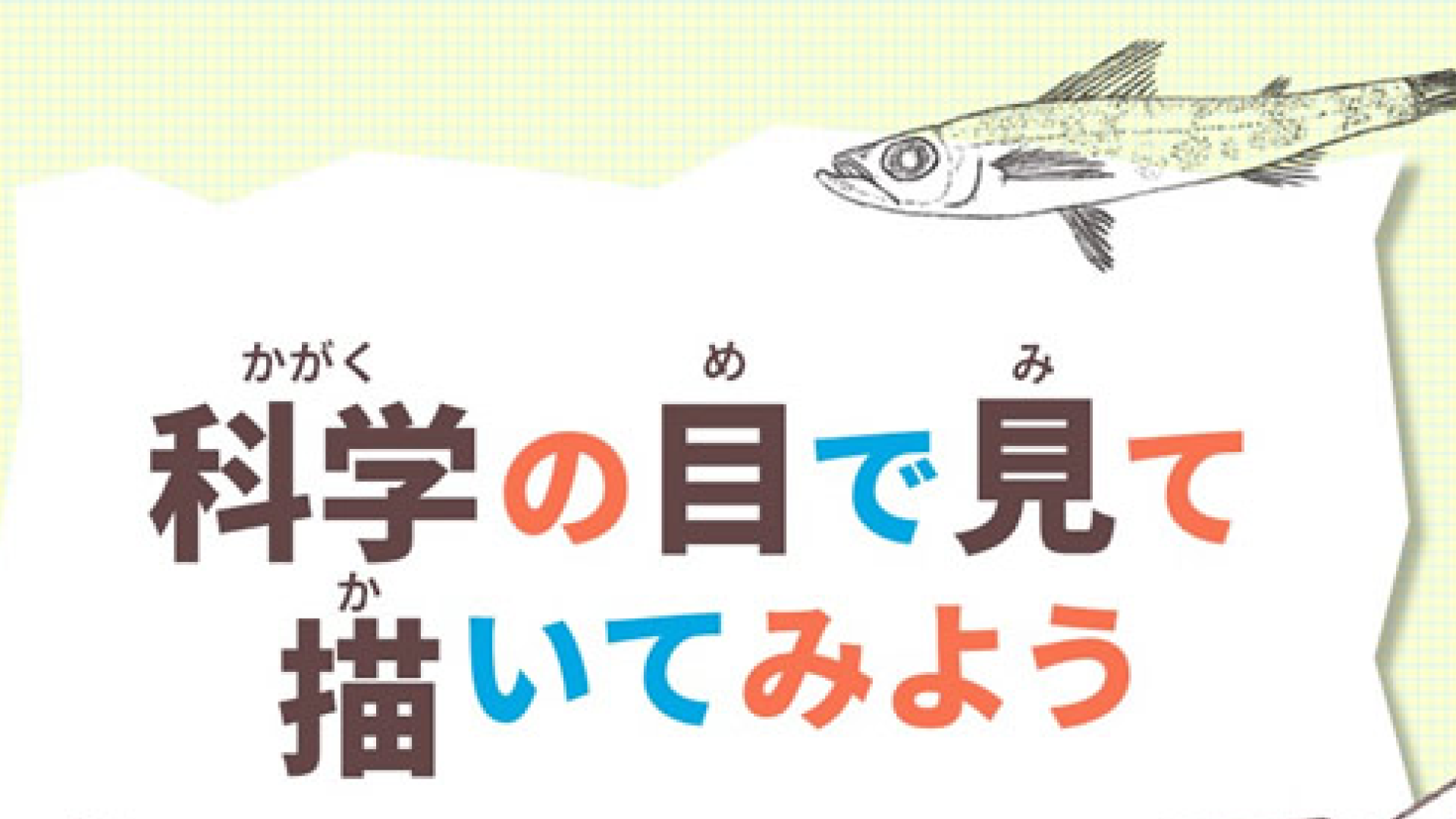 科学の目で見て描いてみよう ～深海魚のかんさつ＆スケッチ～