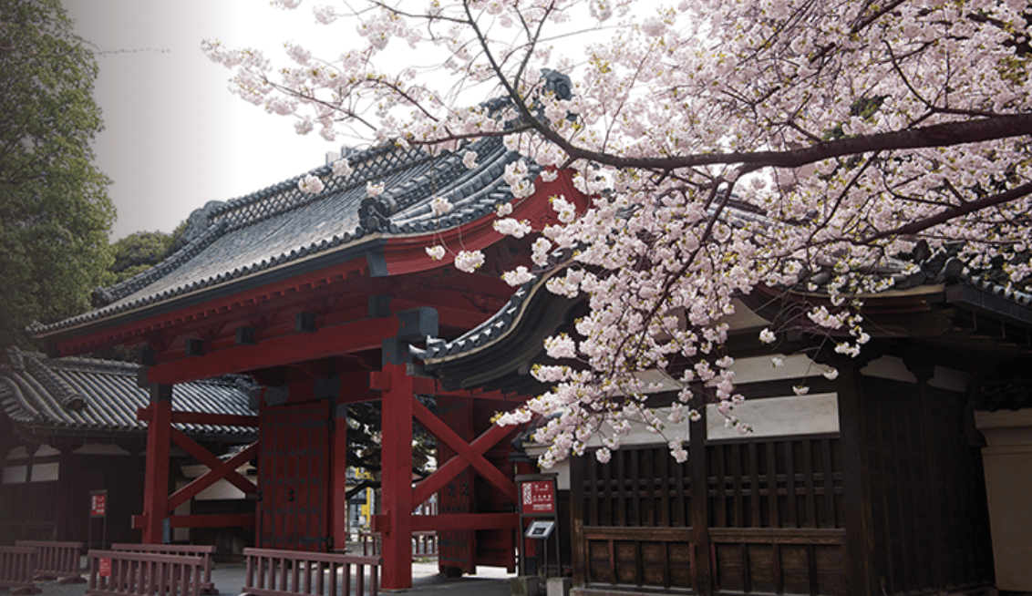 東大の研究室をのぞいてみよう！～多様な学生を東大に～