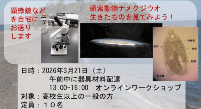 【3/21(土)開催】 海洋環境サイエンスカフェ：リモート実験ワークショプ【締切3/10(火)】