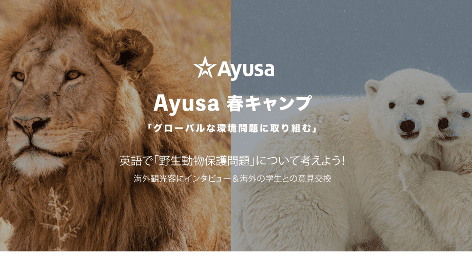 Ayusa 春キャンプ「グローバルな環境問題に取り組む」