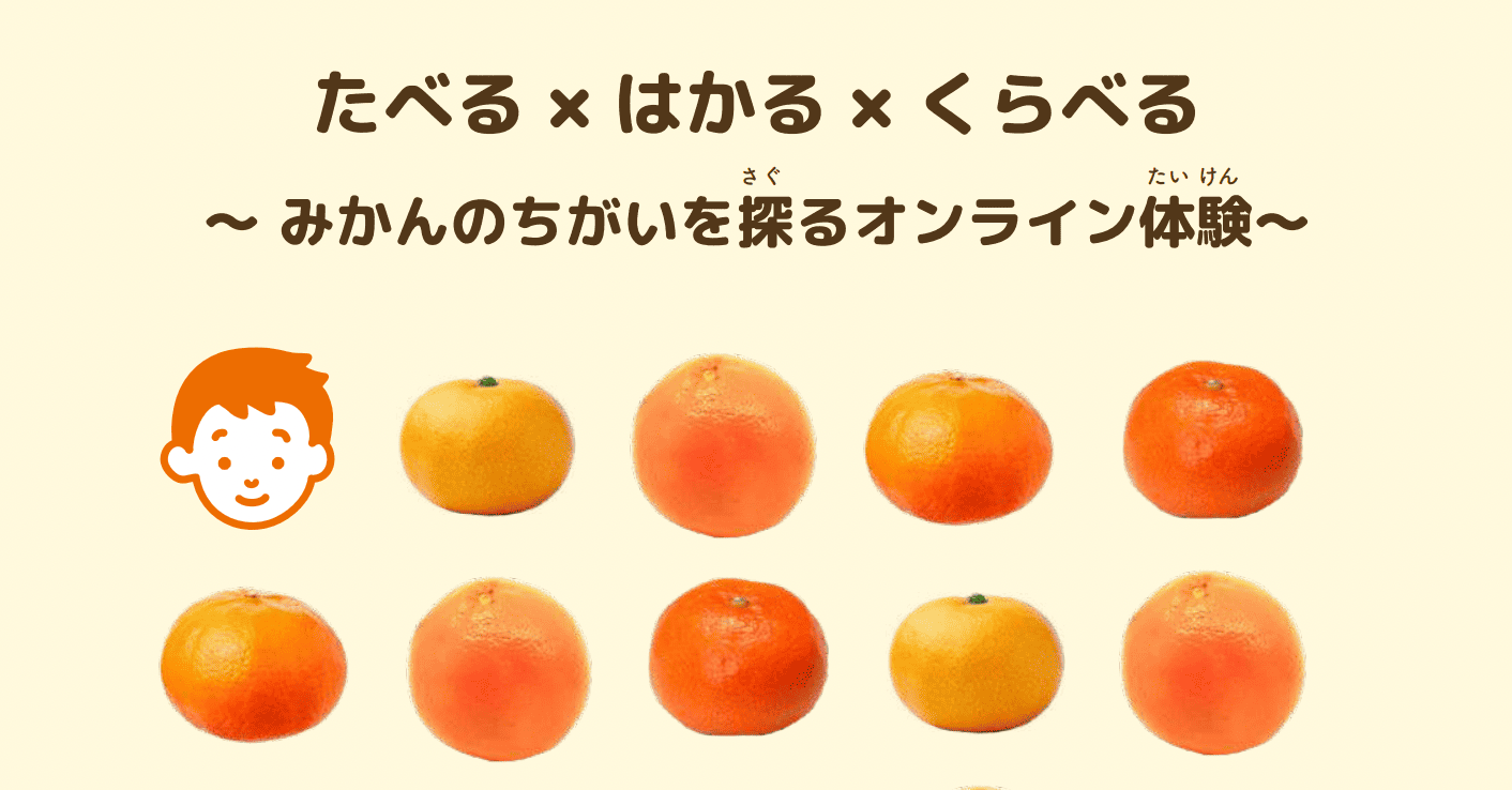 【3/11(水)開催】たべる × はかる × くらべる 〜 みかんのちがいを探るオンライン体験〜【締切3/2(月)】