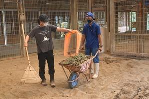 第25回とべ動物園高校生対象飼育実習